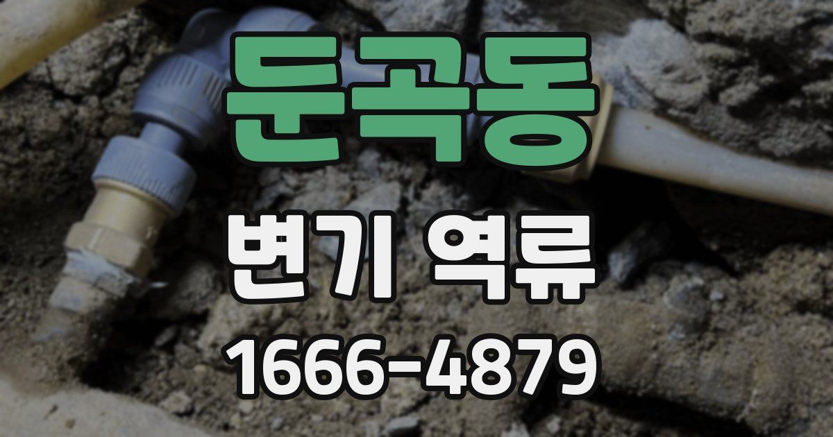 둔곡동 변기 역류