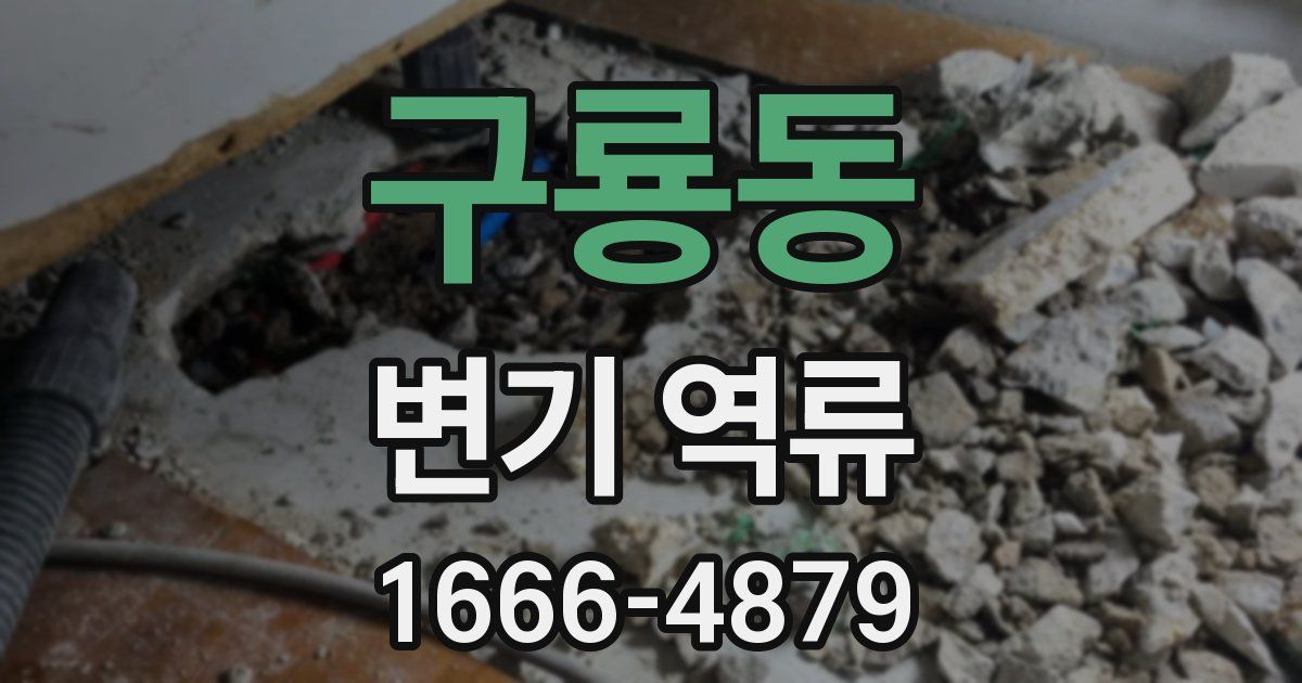 구룡동 변기 역류