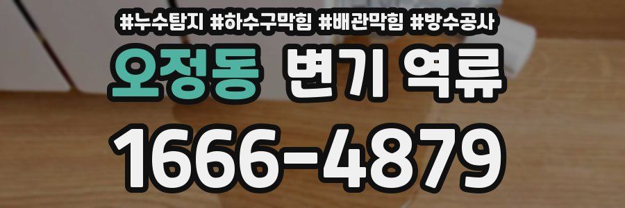 오정동 변기 역류