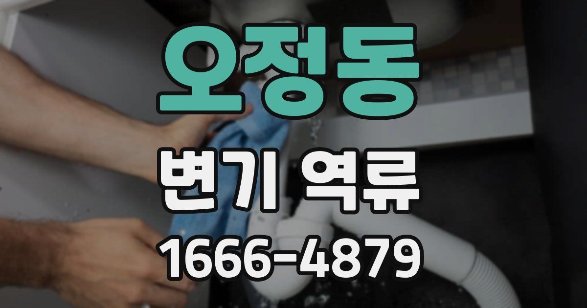 오정동 변기 역류