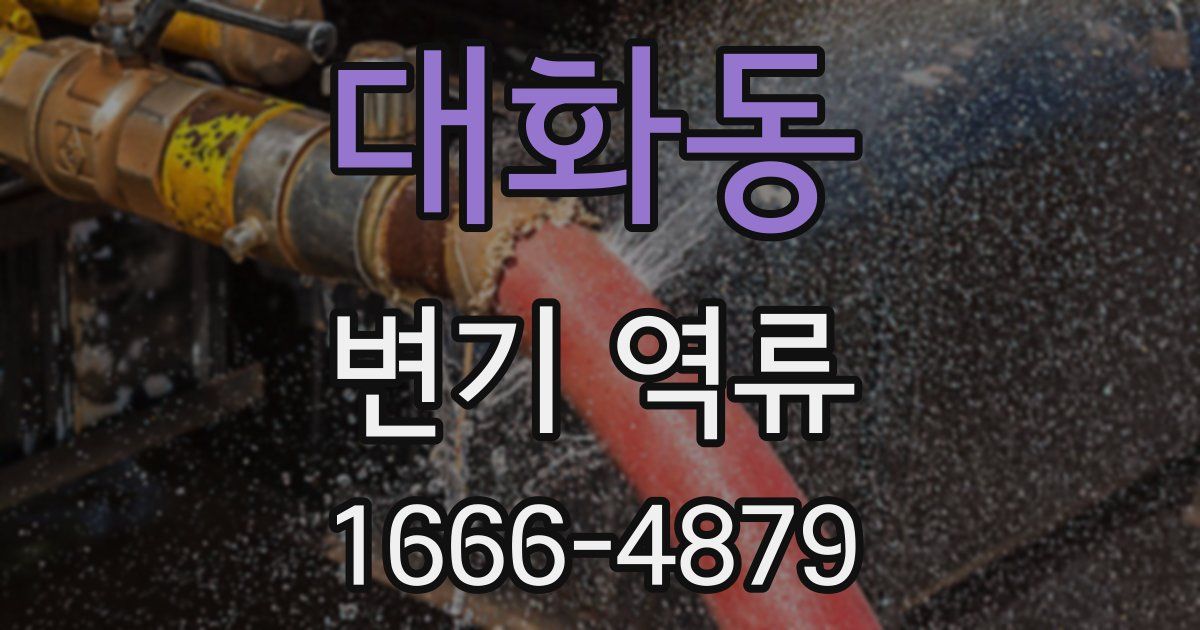 대화동 변기 역류