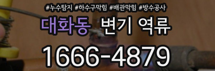 대화동 변기 역류