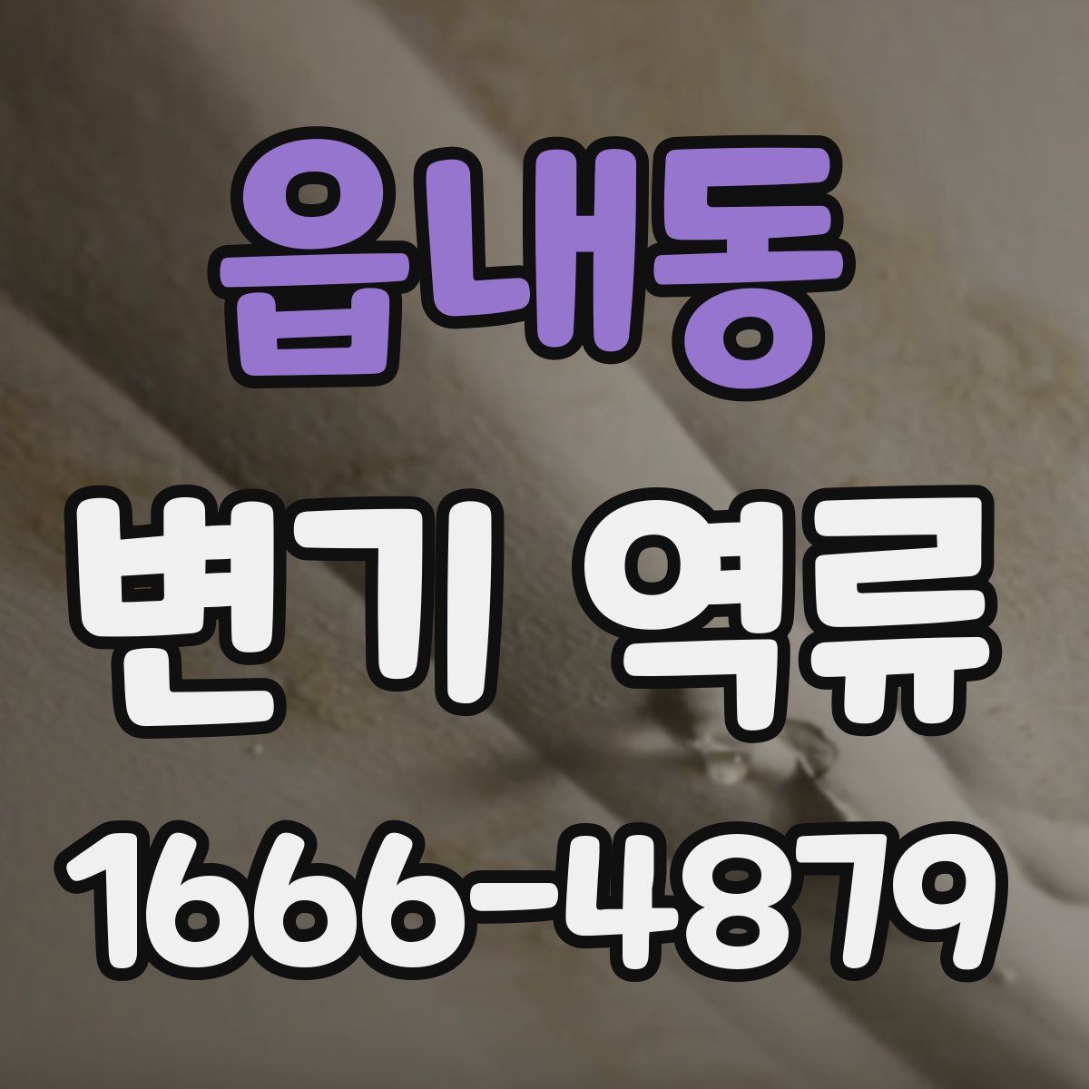 읍내동 변기 역류