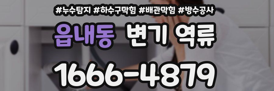 읍내동 변기 역류