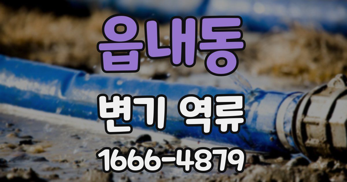 읍내동 변기 역류