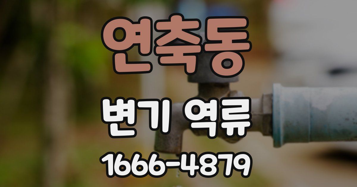 연축동 변기 역류