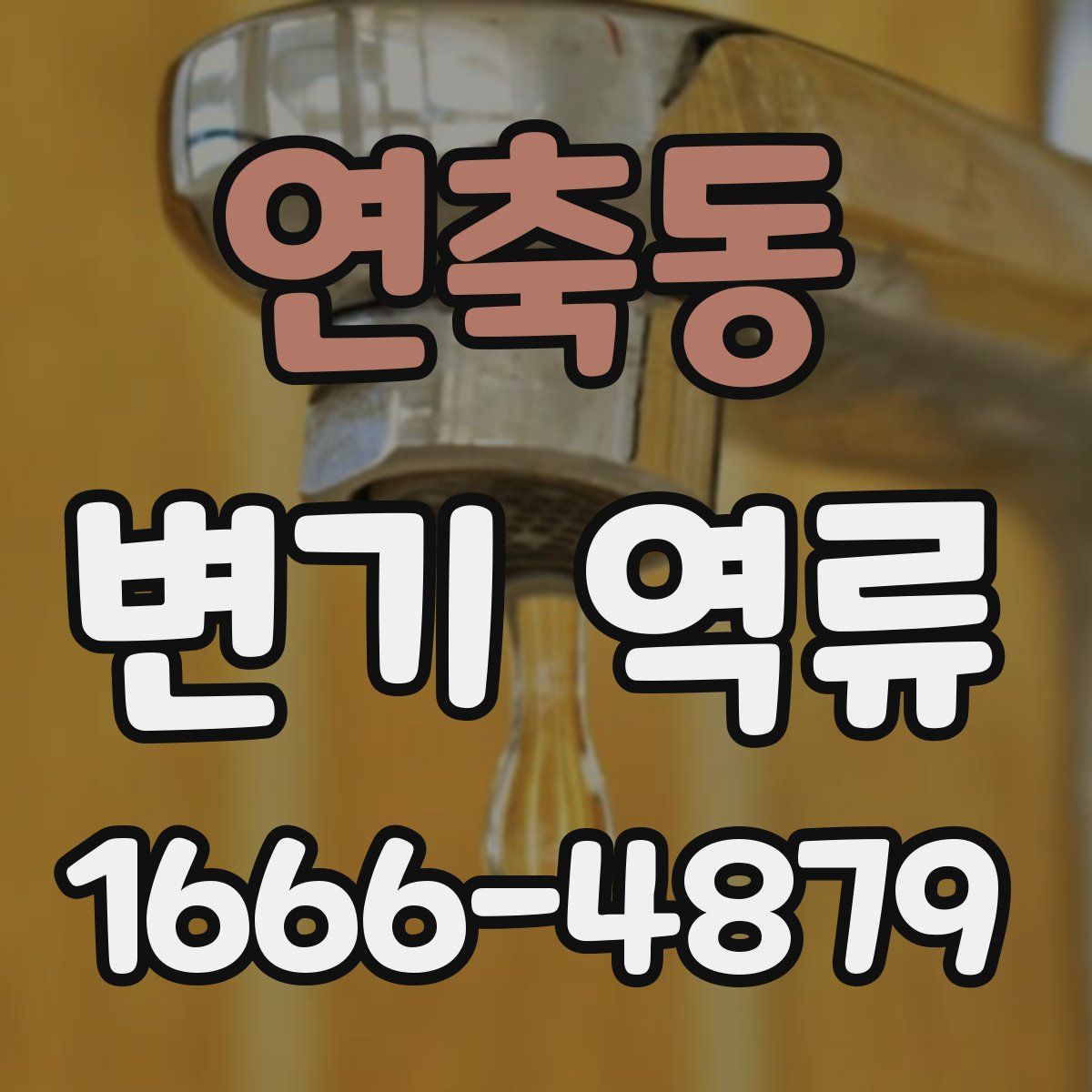 연축동 변기 역류