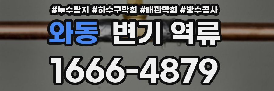 와동 변기 역류