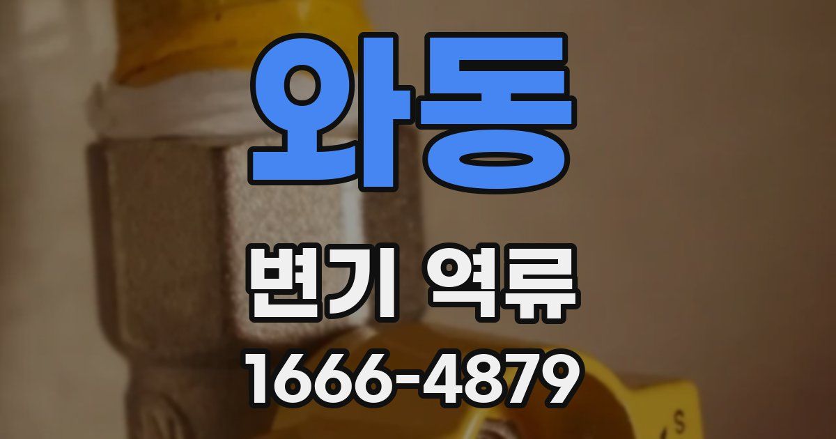 와동 변기 역류