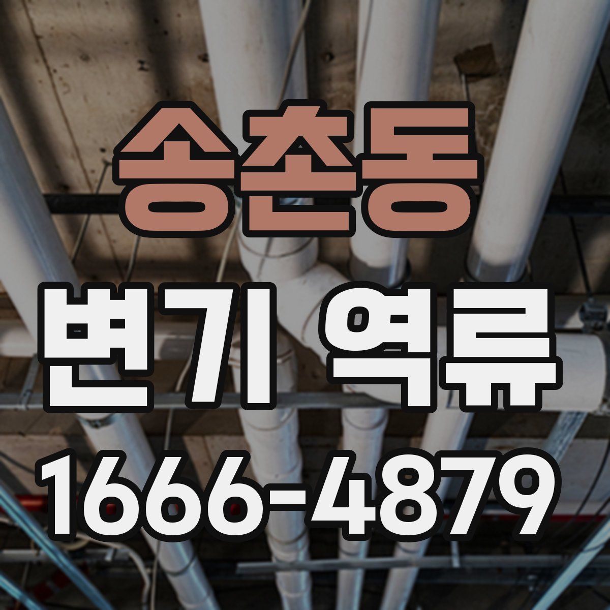 송촌동 변기 역류