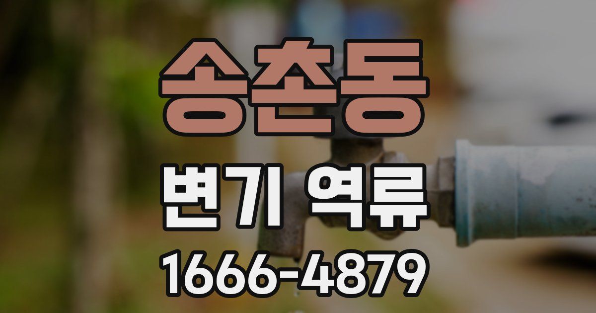 송촌동 변기 역류