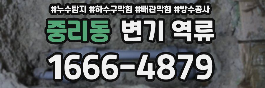 중리동 변기 역류