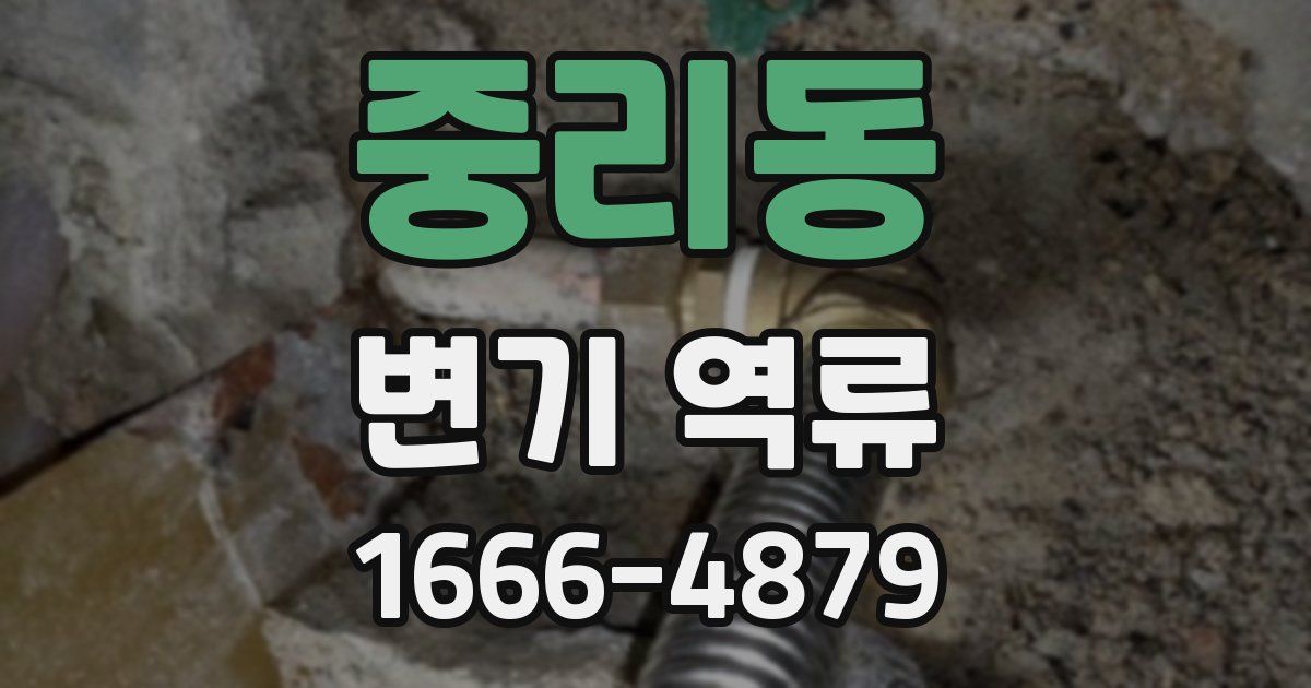 중리동 변기 역류