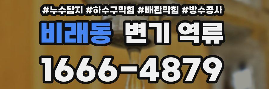비래동 변기 역류