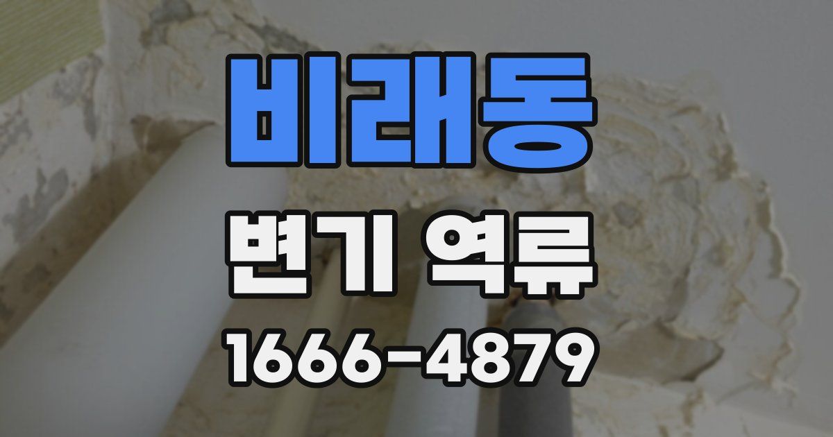 비래동 변기 역류
