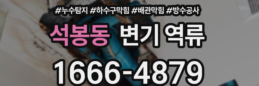 석봉동 변기 역류