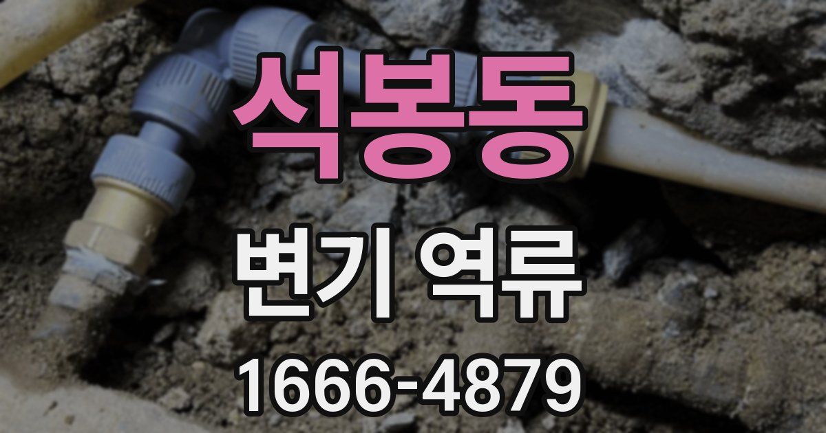 석봉동 변기 역류