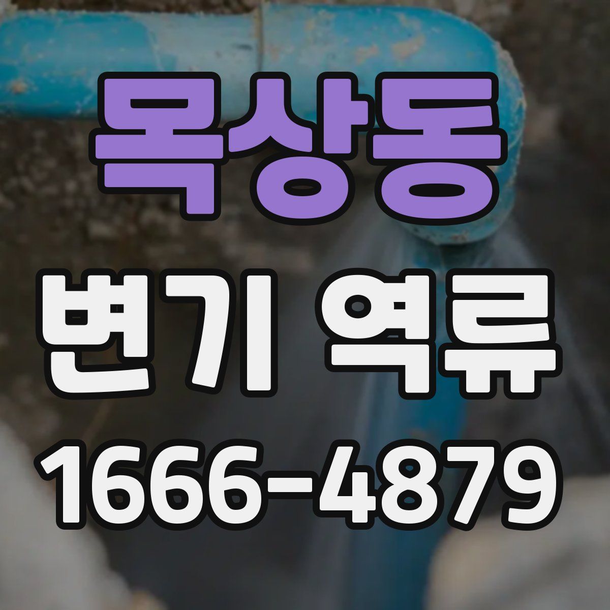 목상동 변기 역류