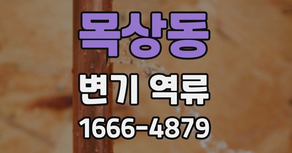 목상동 변기 역류