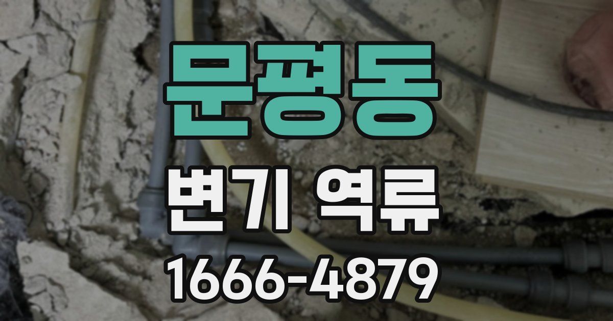 문평동 변기 역류