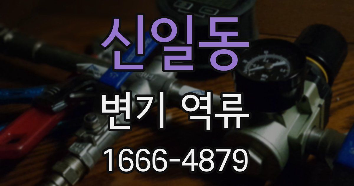 신일동 변기 역류
