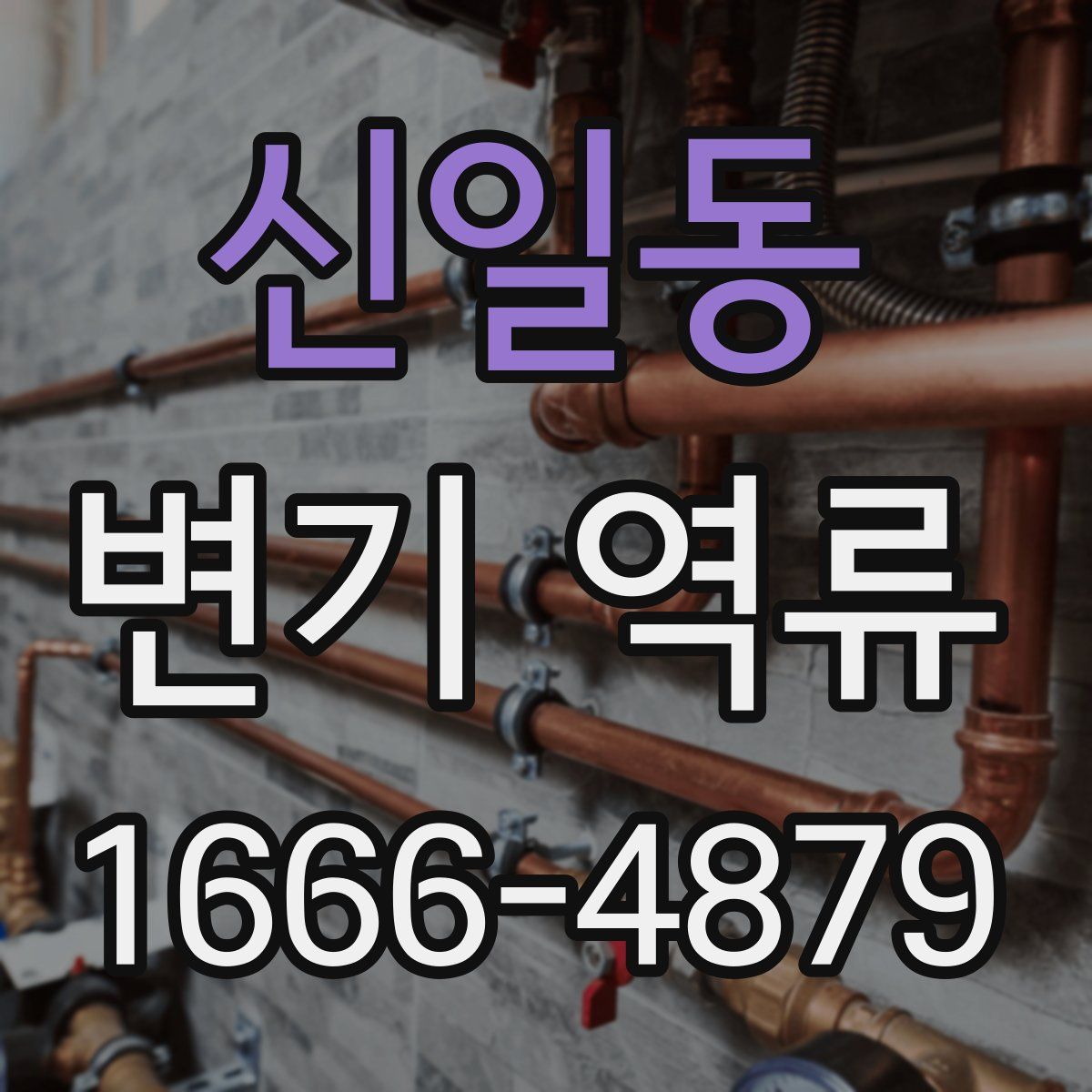 신일동 변기 역류