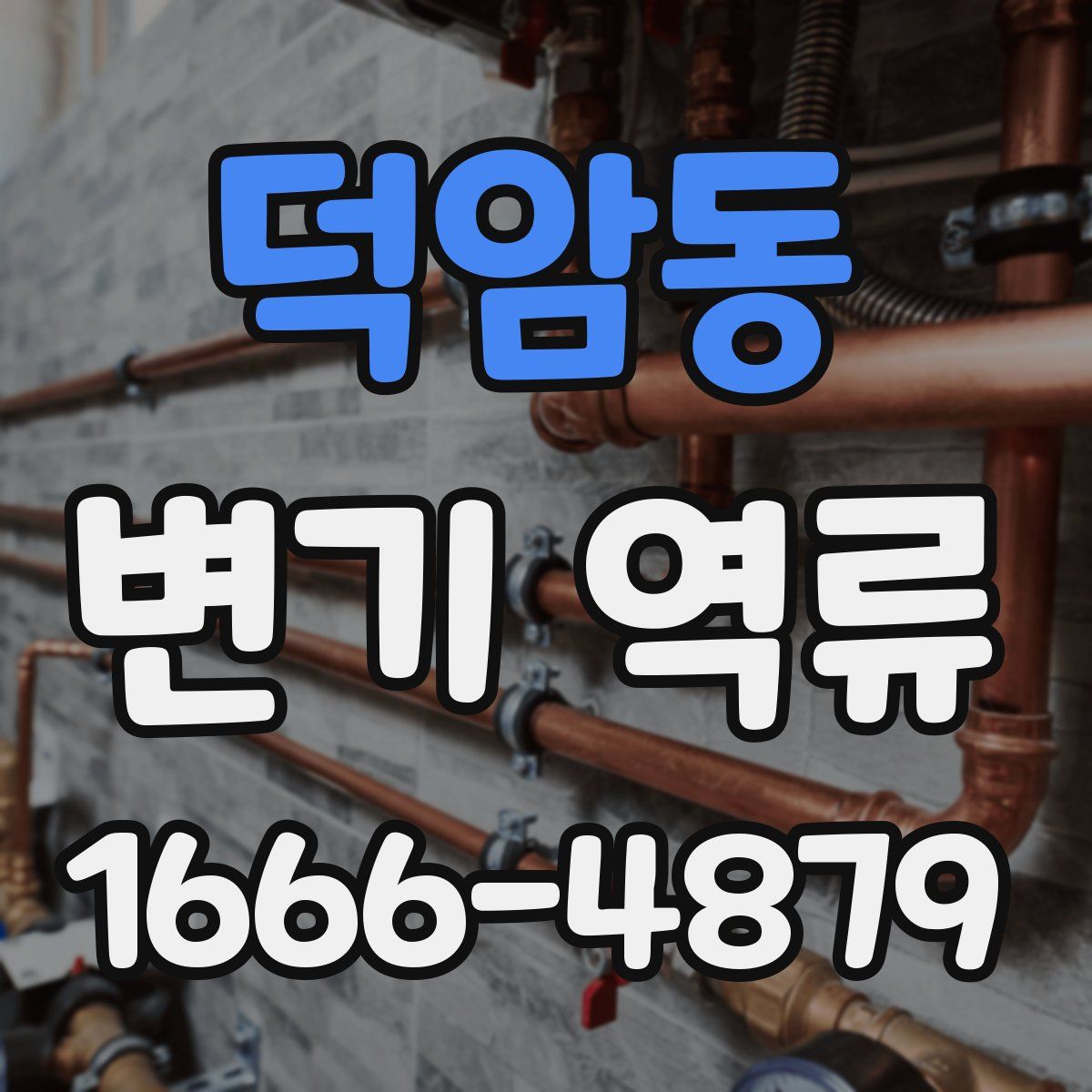 덕암동 변기 역류