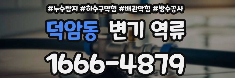 덕암동 변기 역류