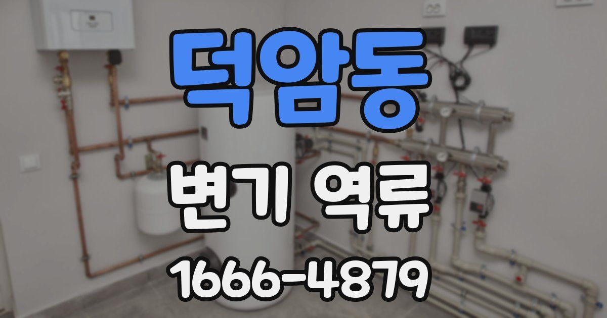 덕암동 변기 역류