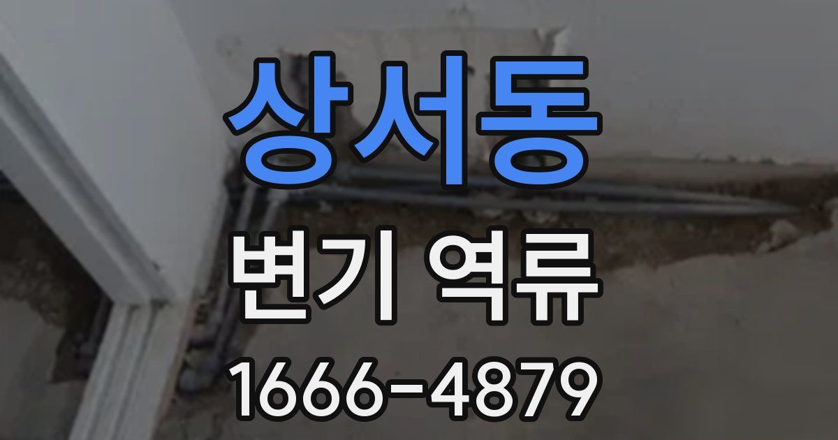 상서동 변기 역류