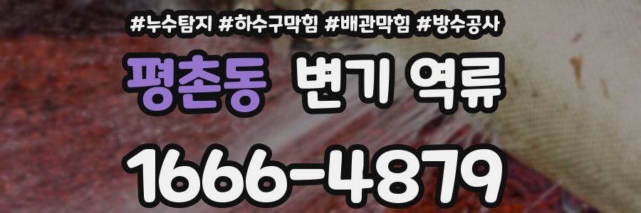 평촌동 변기 역류