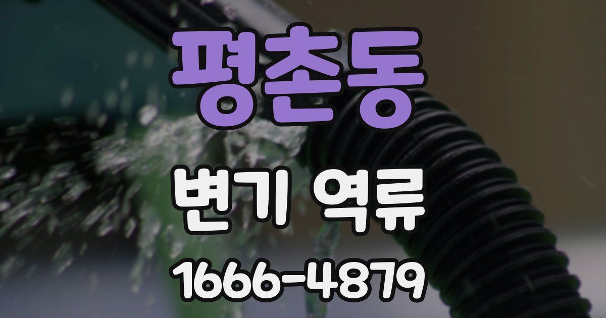 평촌동 변기 역류