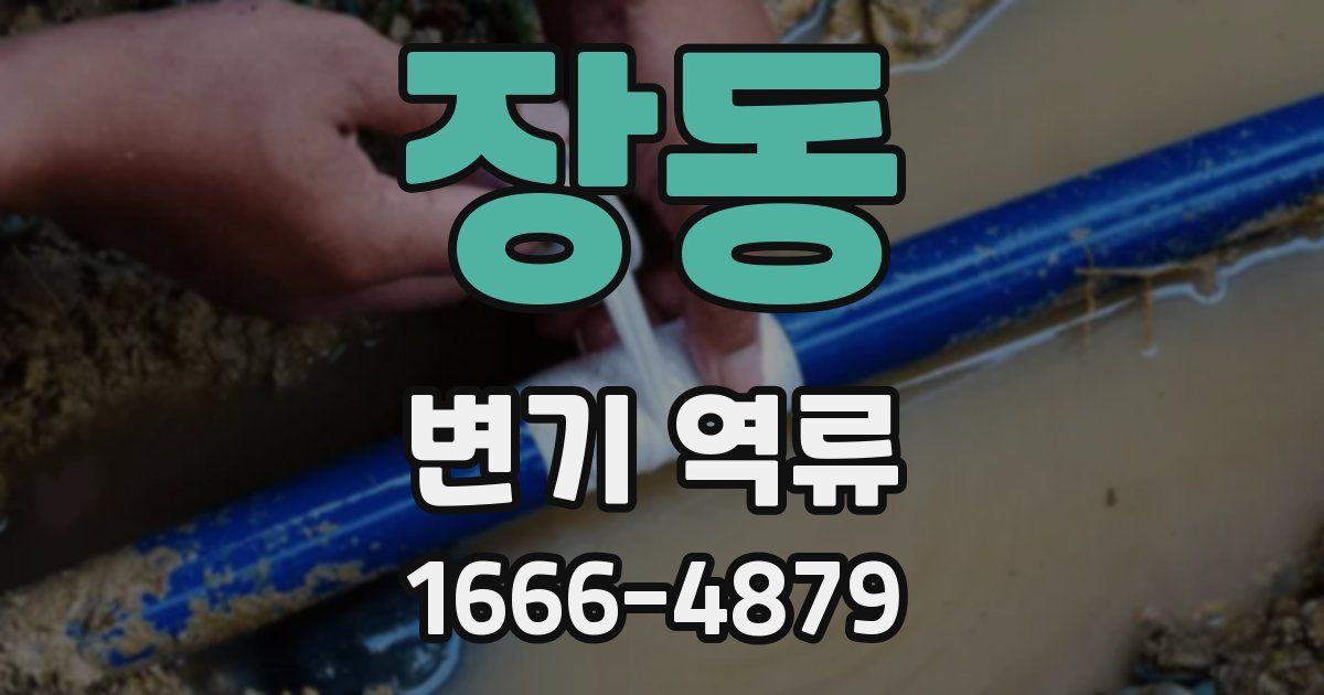 장동 변기 역류