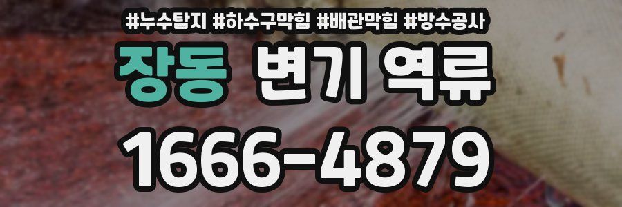 장동 변기 역류
