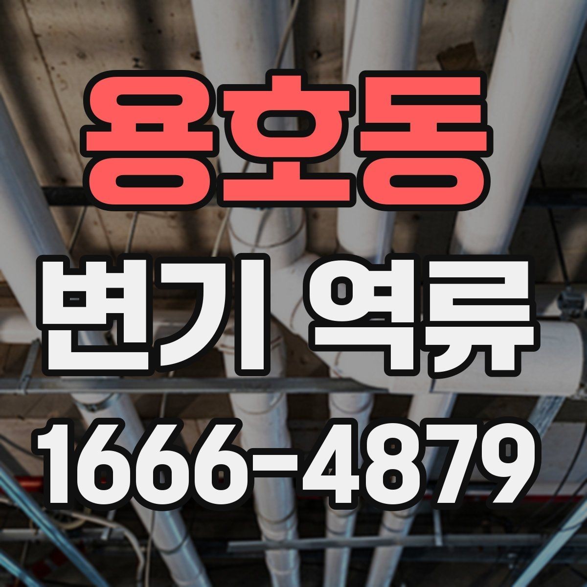용호동 변기 역류 변기 막힘과 구분하는 방법