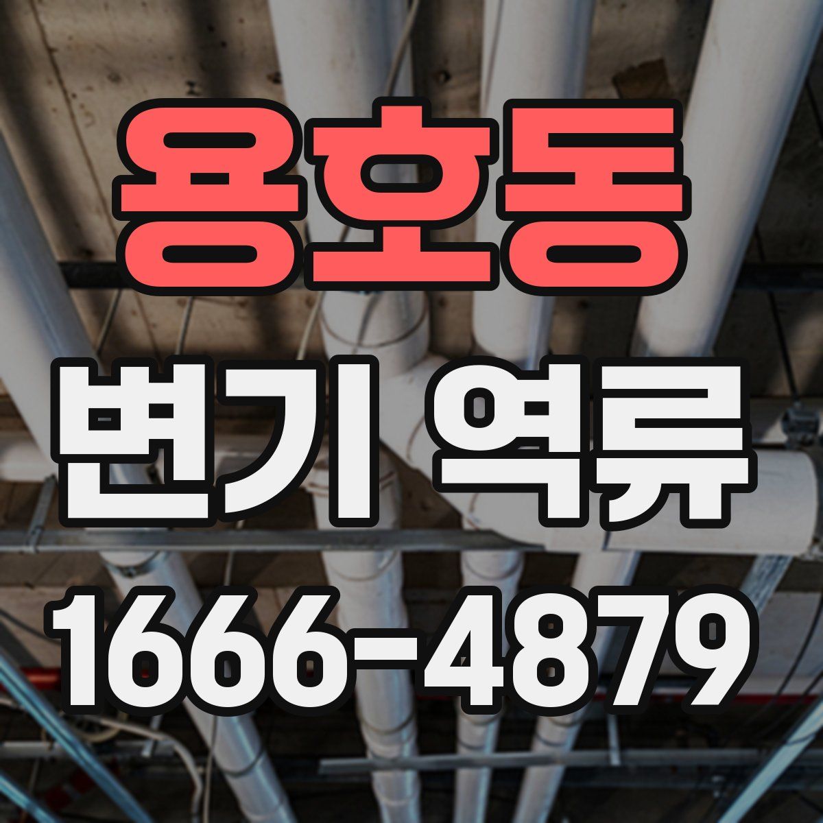 용호동 변기 역류