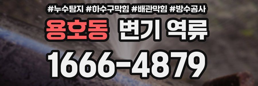 용호동 변기 역류