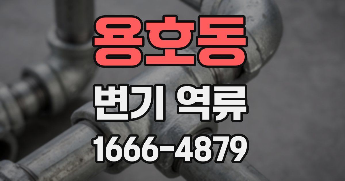 용호동 변기 역류