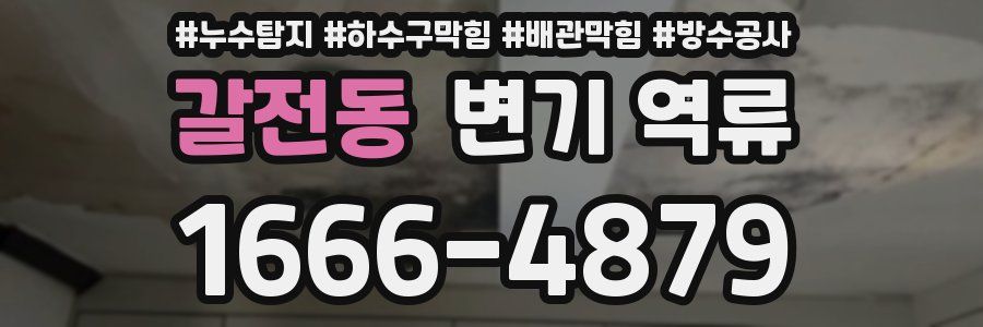 갈전동 변기 역류