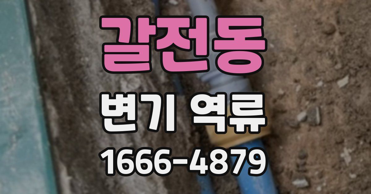 갈전동 변기 역류