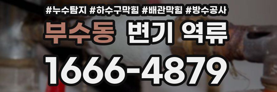 부수동 변기 역류