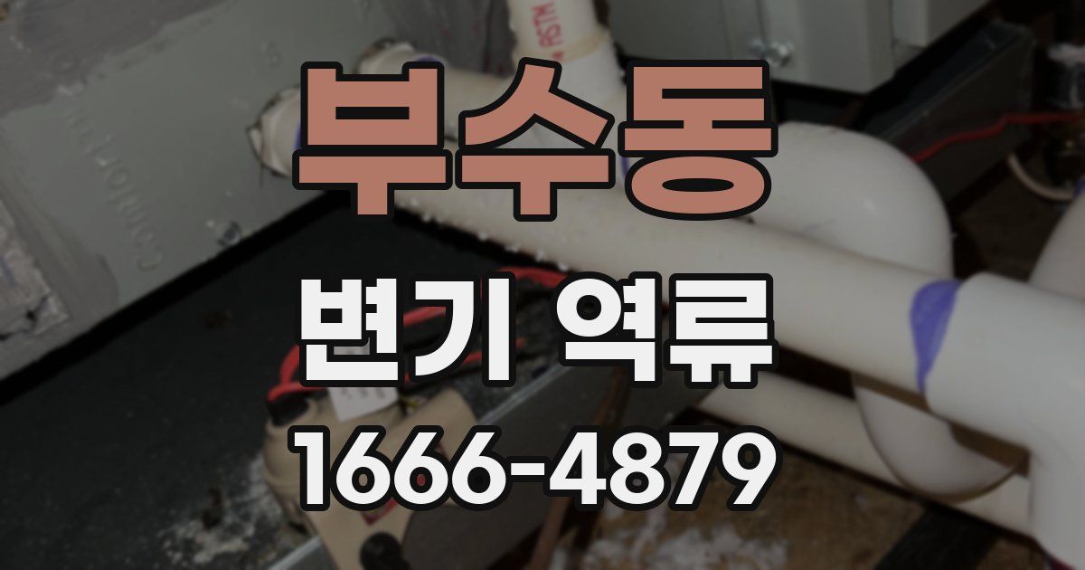 부수동 변기 역류