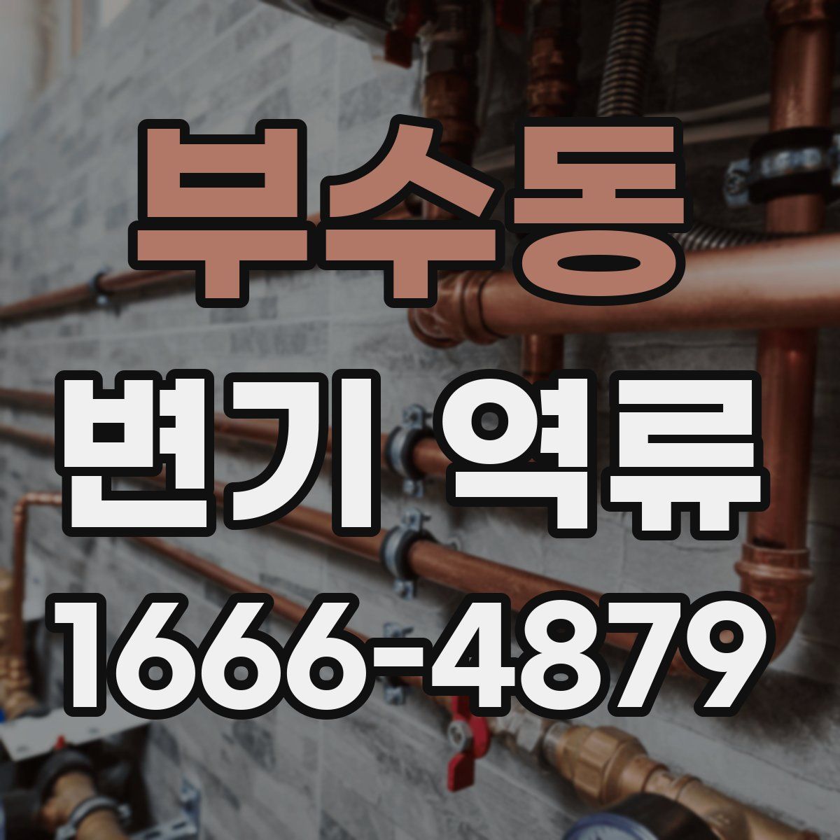 부수동 변기 역류