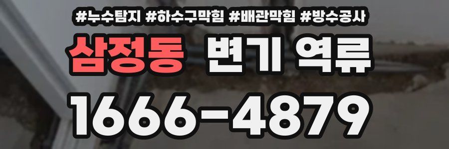 삼정동 변기 역류