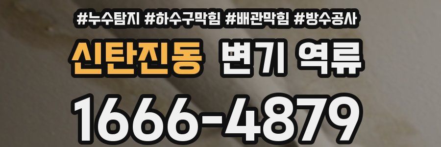 신탄진동 변기 역류
