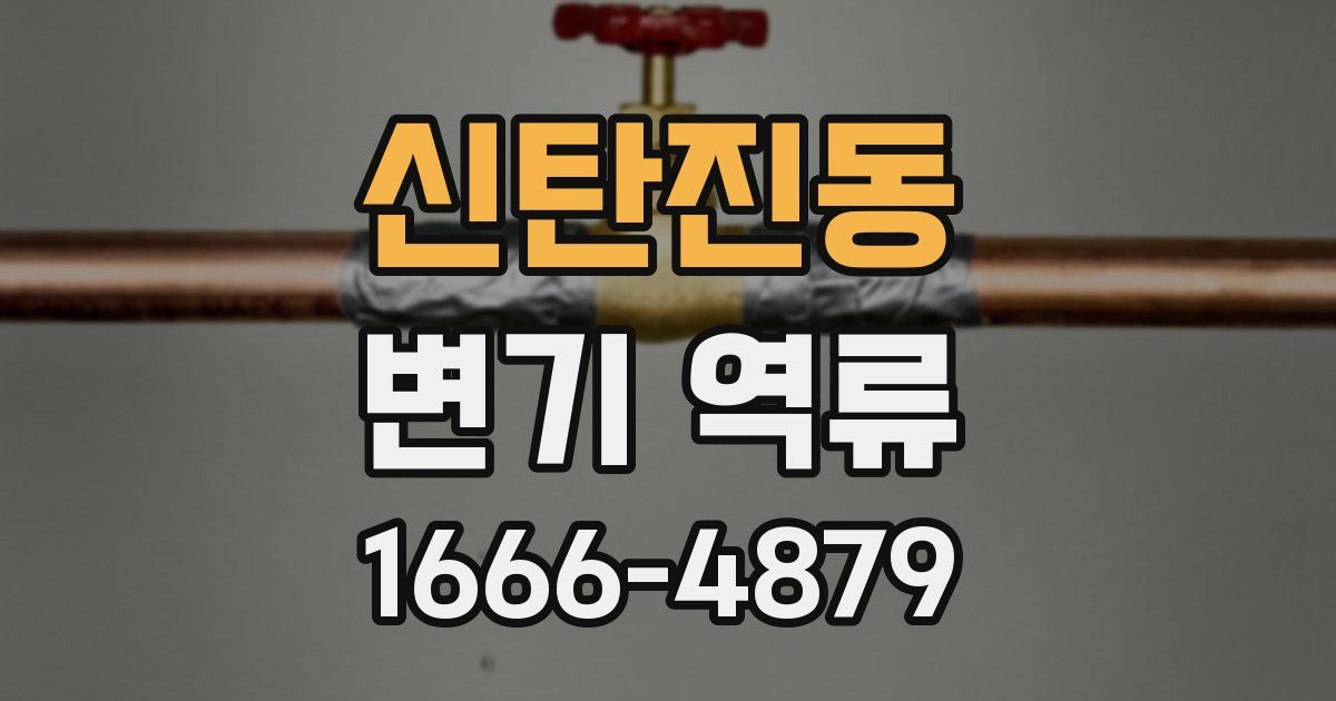 신탄진동 변기 역류