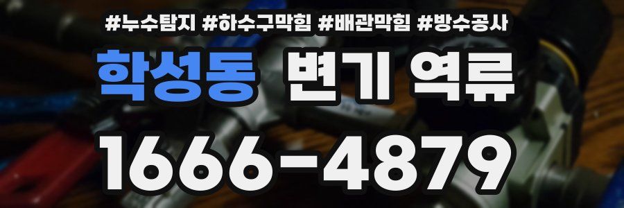 학성동 변기 역류