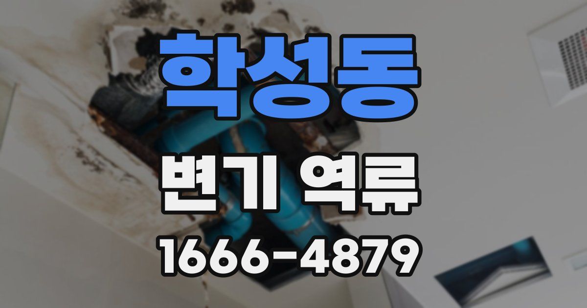학성동 변기 역류