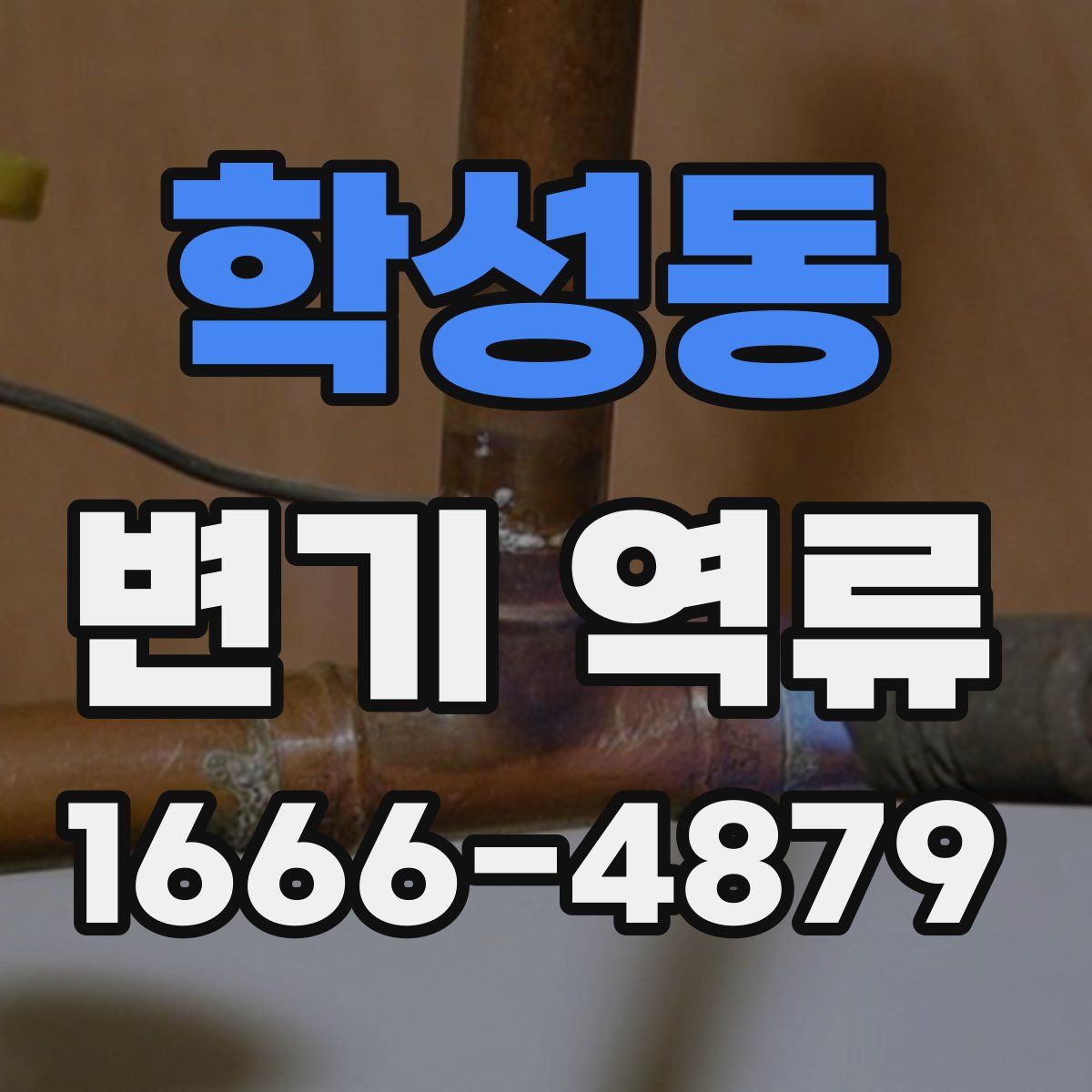 학성동 변기 역류