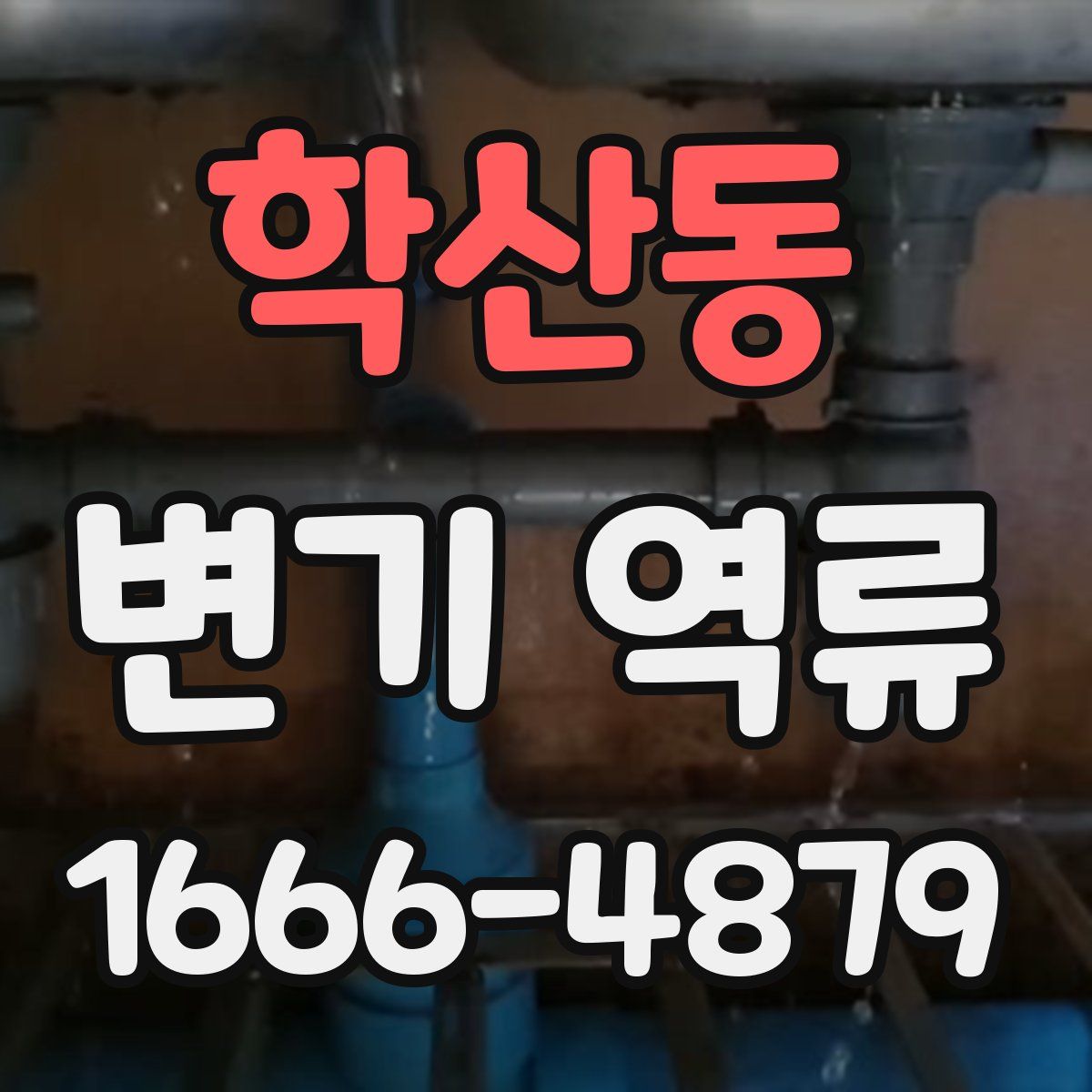 학산동 변기 역류